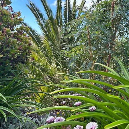 Casa Buenavida Villa Alajeró Dış mekan fotoğraf